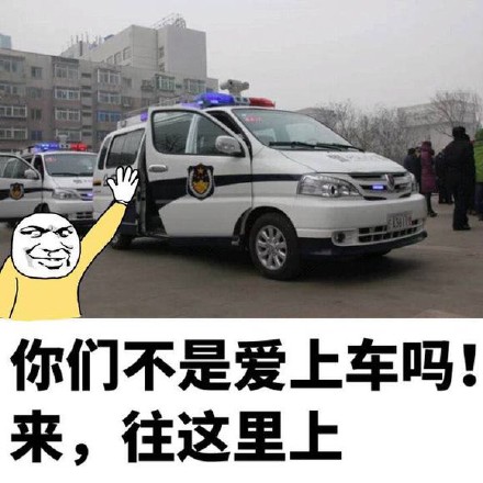 你们不是爱上车吗！来，往这里上