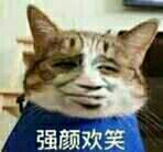 强颜欢笑！（金馆长小猫）