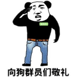 向狗群员们敬礼