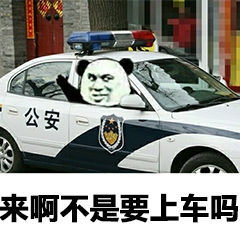 来啊不是要上车吗？