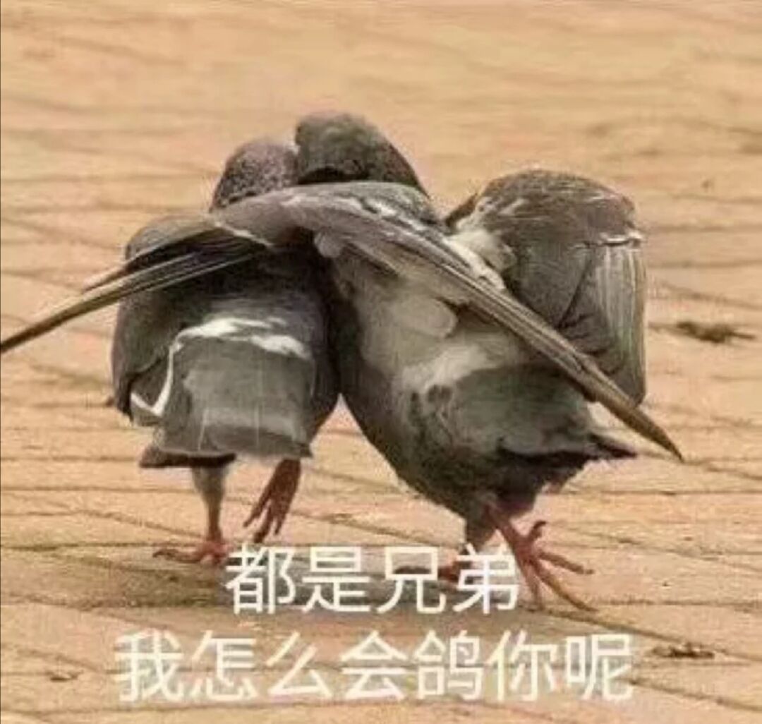 都是兄弟，我怎么会鸽你呢