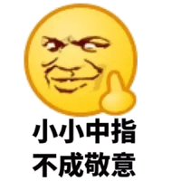 小小中指，不成敬意