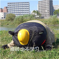 熊本熊表情包带字搞笑 我就是不学习