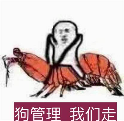 狗管理，我们走！