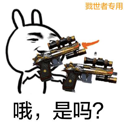 哦，是吗？