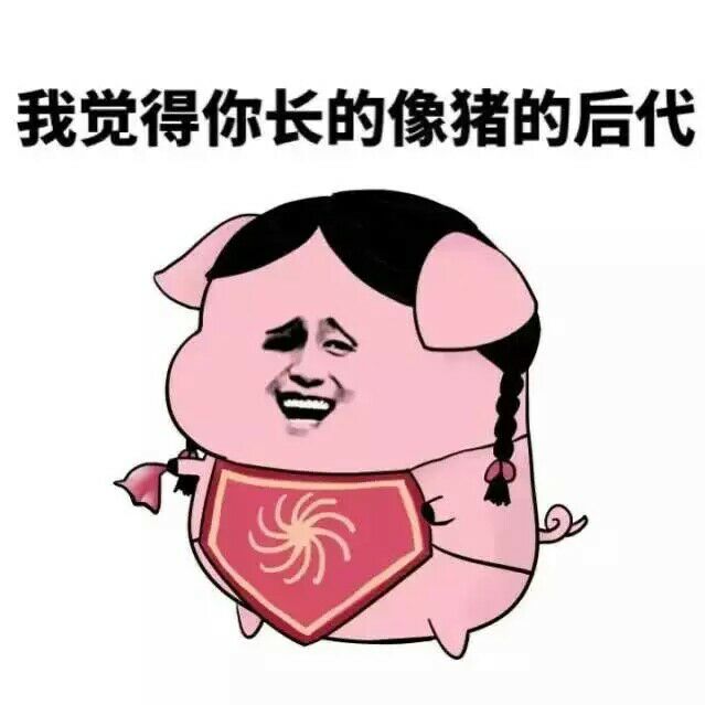 我觉得你长得像猪的后代