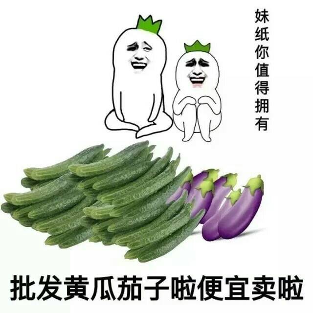 批发黄瓜茄子啦便宜卖啦（妹纸你值得拥有）