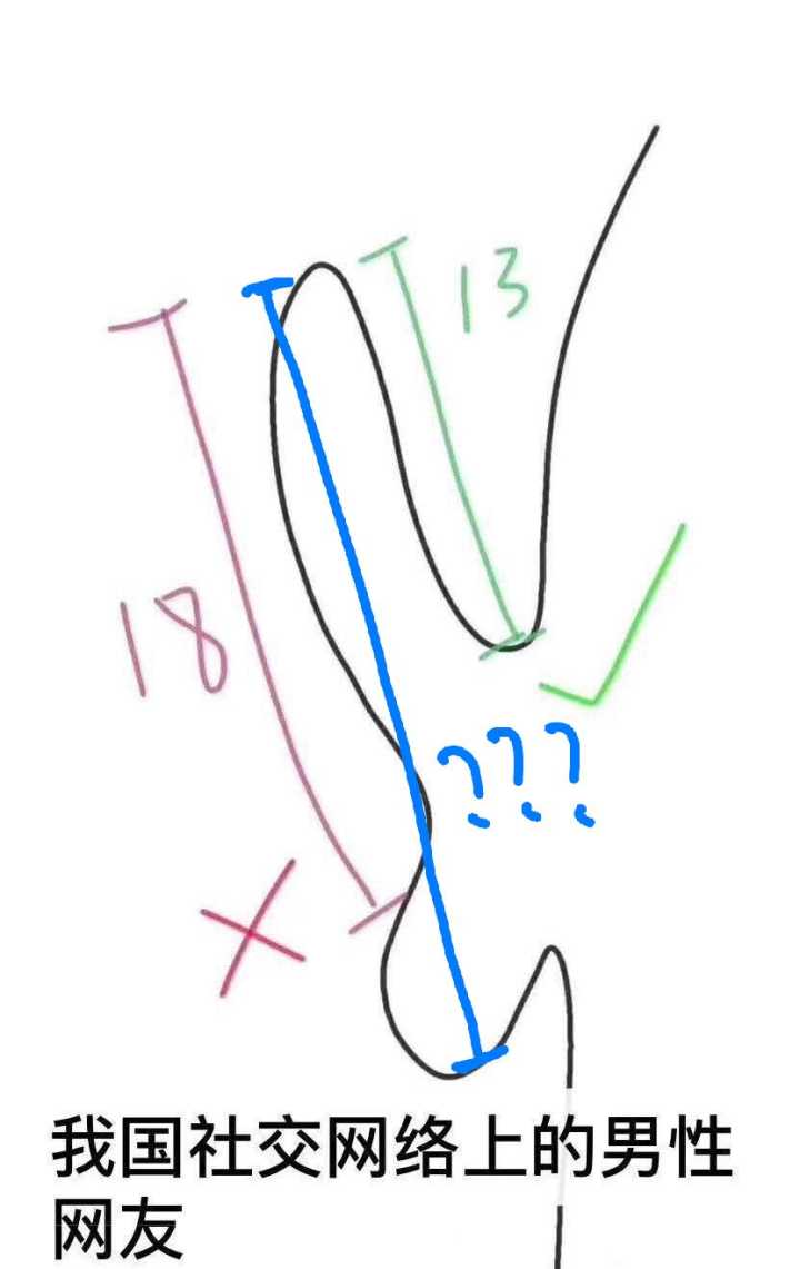 我国社交网络上的男性网友