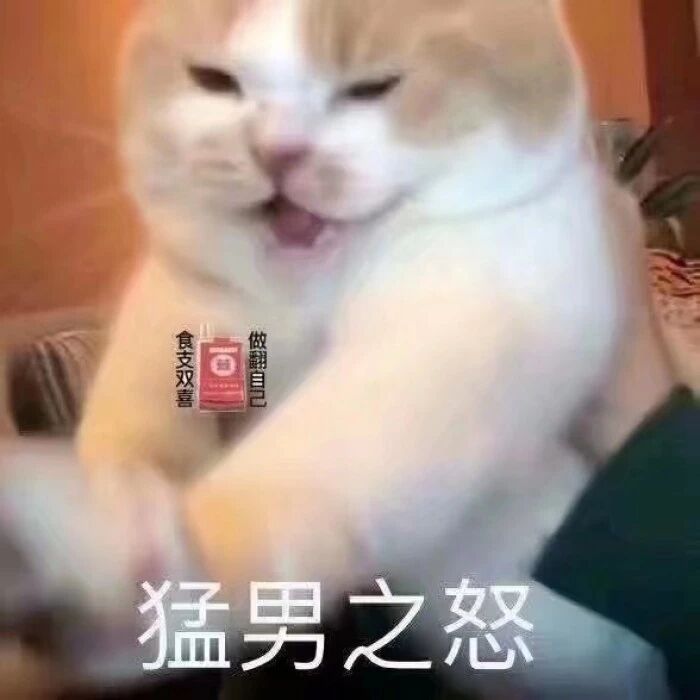 猛男之怒