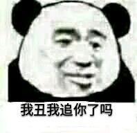 我丑我追你了吗