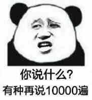 你说什么？有种再说10000遍