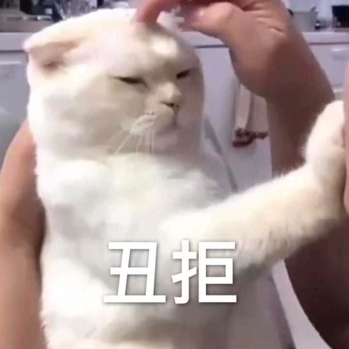 丑拒