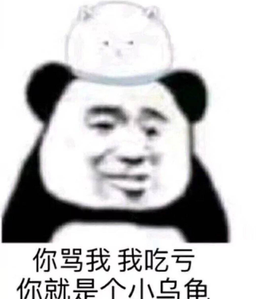 你骂我我吃亏，你就是个小乌龟