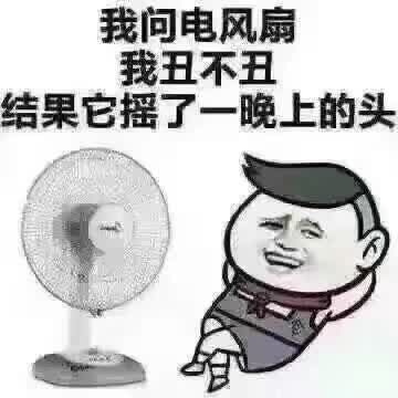 我问电风扇我丑不丑，结果他摇了一晚上的头