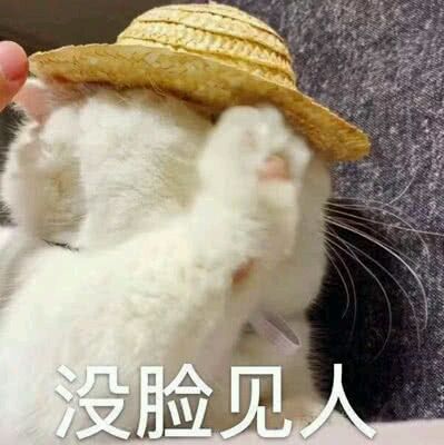 没脸见人