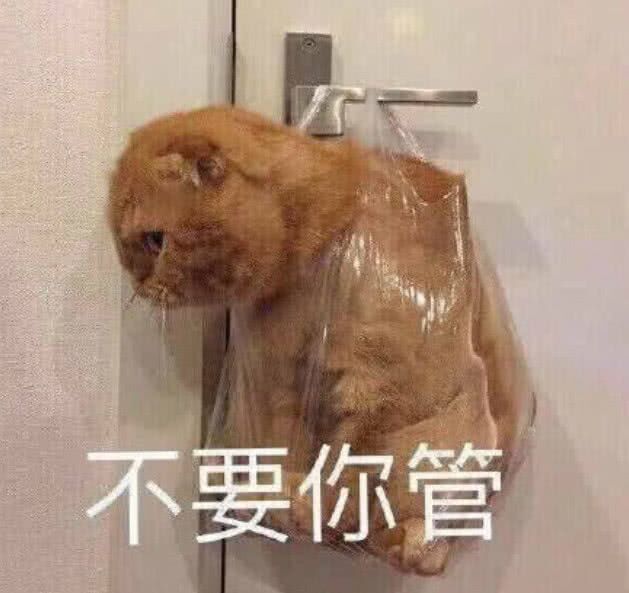 不要你管