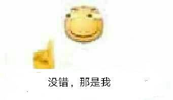 没错，那是我