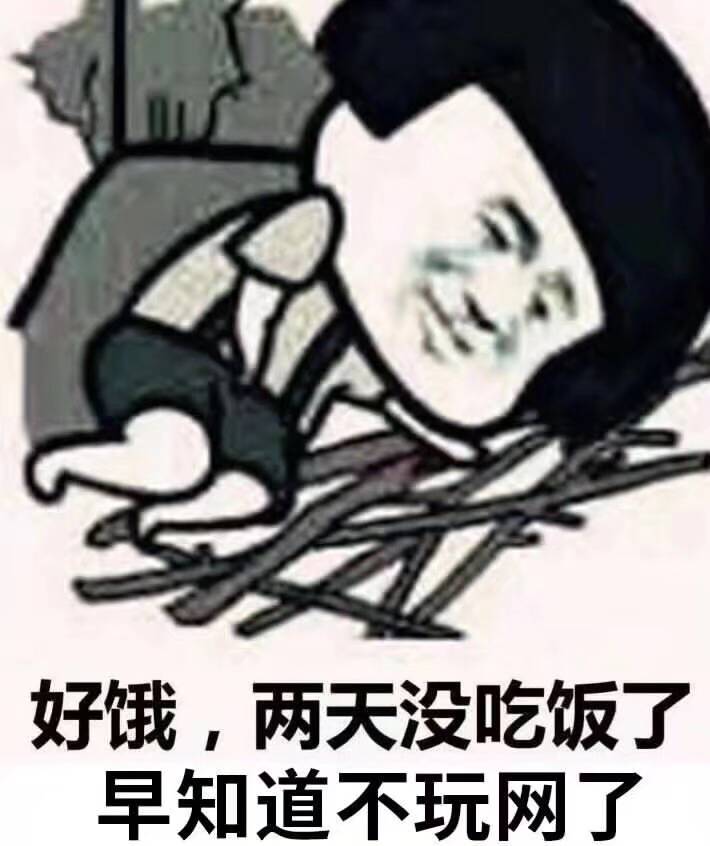 好饿，两天没吃饭了早知道不玩网了