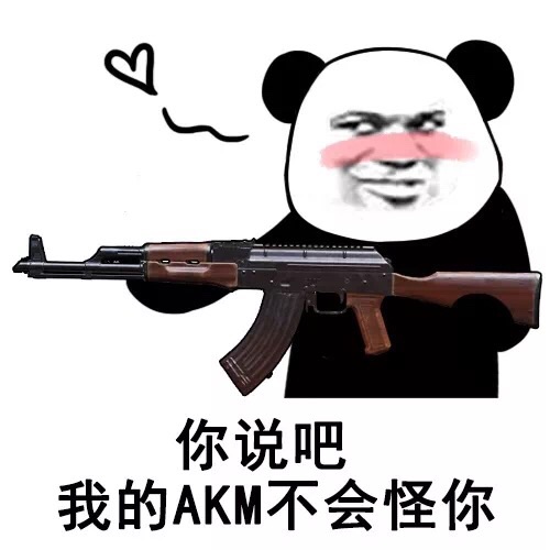 你说吧我的AKM不会怪你