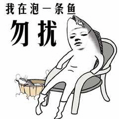 我在泡一条鱼勿扰