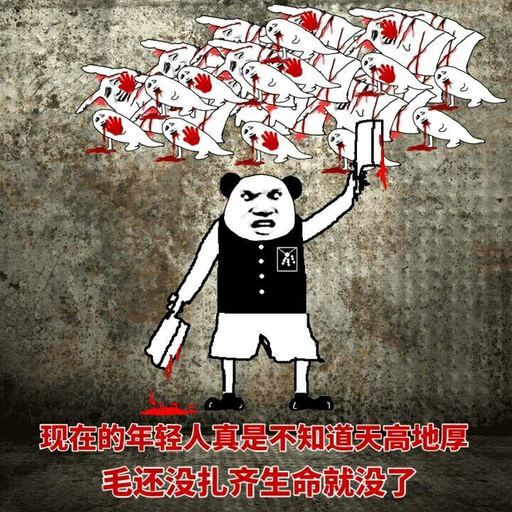 现在的年轻人真是不知道天高地厚，毛还没扎齐生命就没了