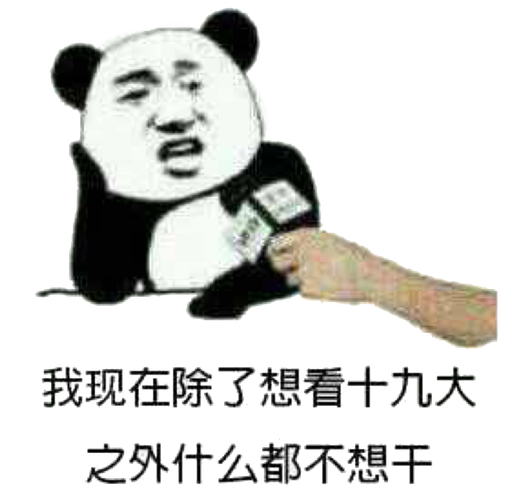 我现在除了想看十九大之外什么都不想干