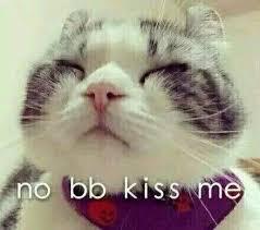 No bb kiss me