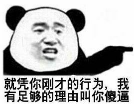 就凭你刚才的行为，我有足够的理由叫你傻逼