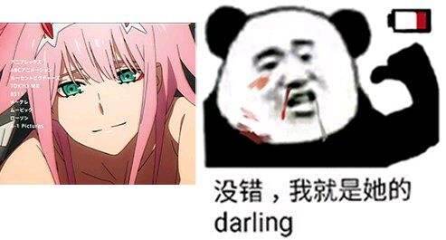 没错，我就是她的darling