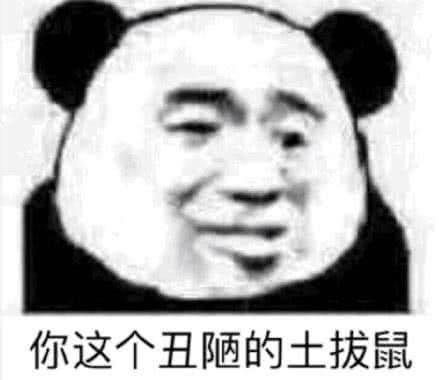 你这个丑陋的土拔鼠