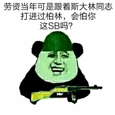 劳资当年可是跟着斯大林同志打进过柏林，会怕你这SB吗？