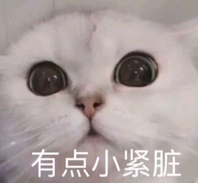 有点小紧脏