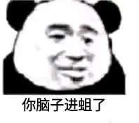 你脑子进蛆了