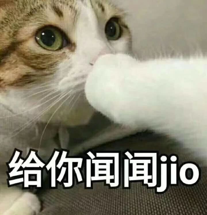 给你闻间Jio