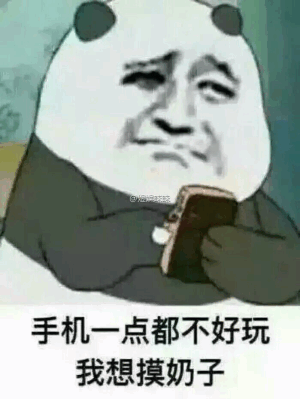 手机一点都不好玩，我想摸奶子