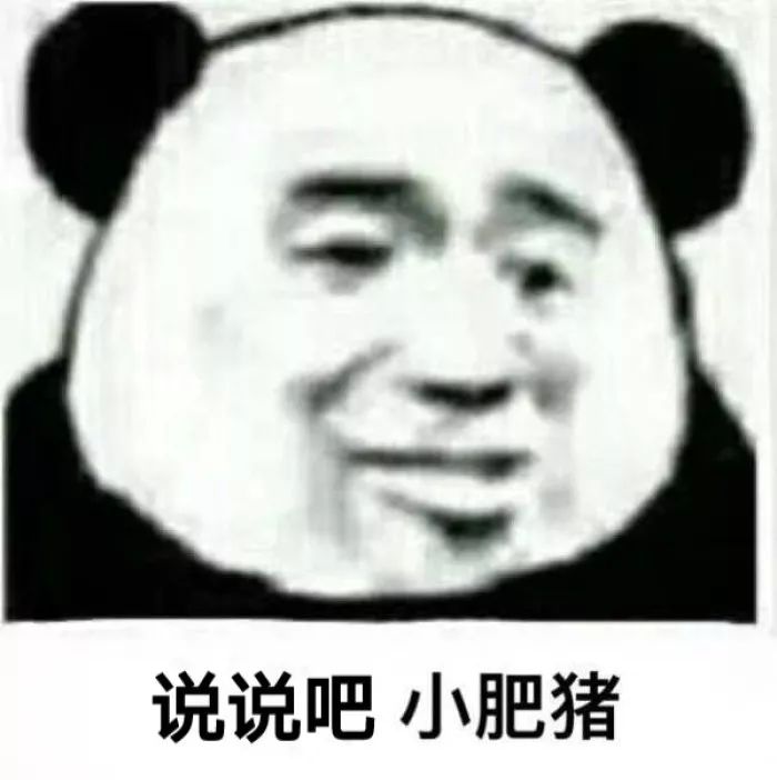 说说吧，小肥猪