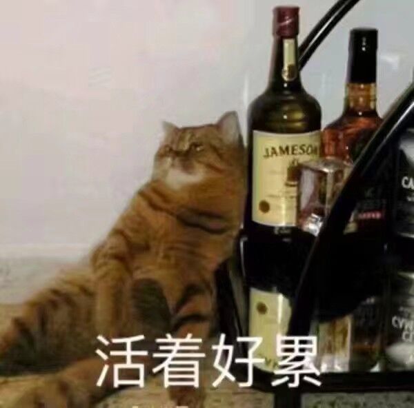 活着好累