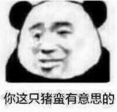 你这只猪蛮有意思的