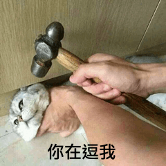 你在逗我