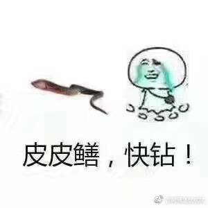 皮皮鳝，快钻！（黄鳝）