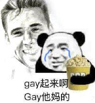 gay起来啊，Gay他妈的