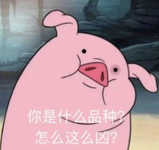 你是么品种，怎么这么凶？