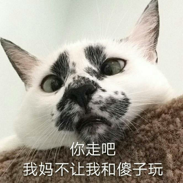 你走吧，我妈不让我和傻子玩