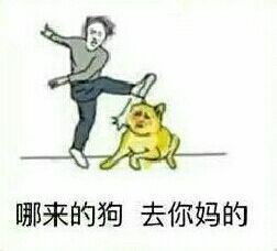 哪来的狗，去你妈的