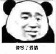 像极了爱情