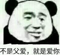 不是父爱，就是爱你！（熊猫人）