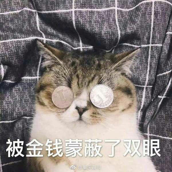 被金钱蒙了双眼