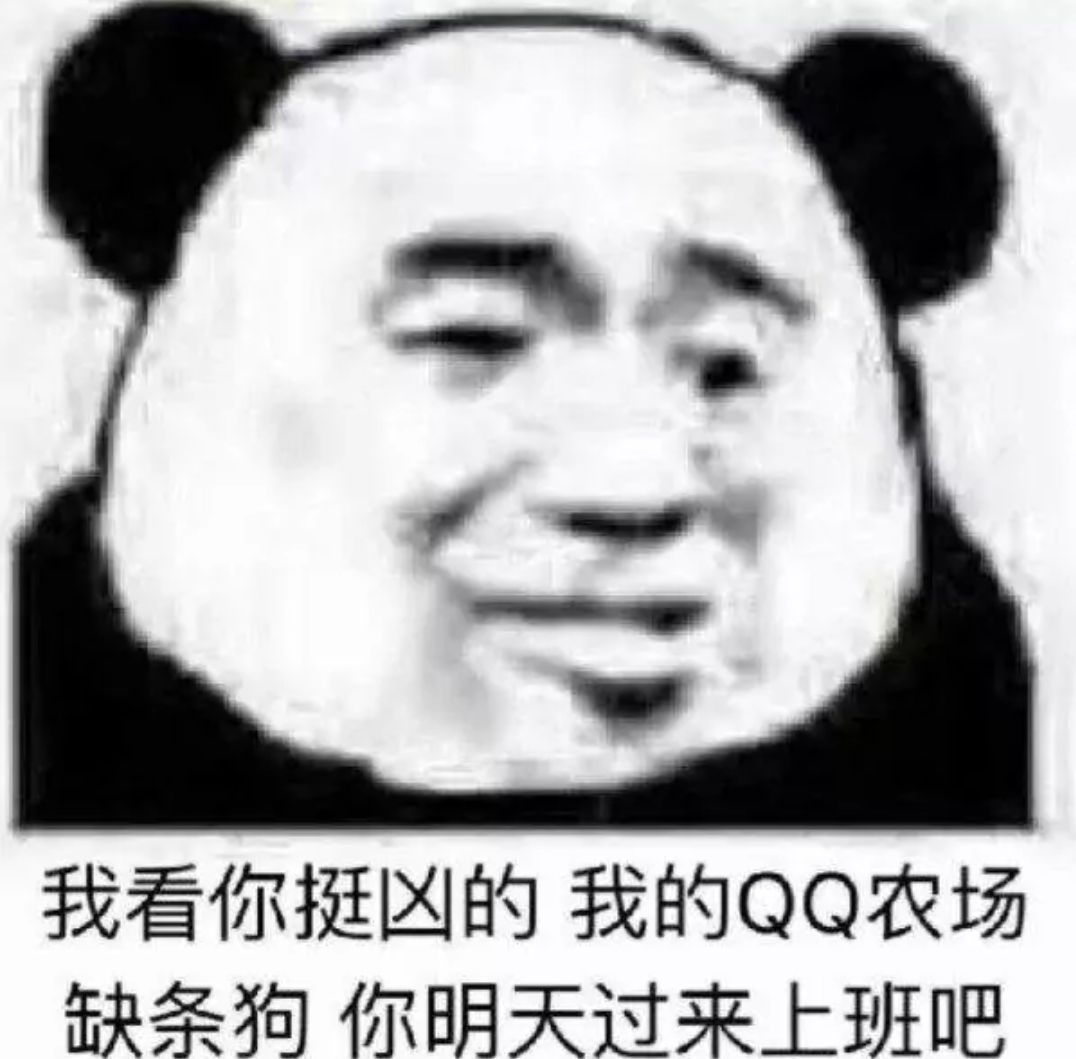 我看你挺凶的，我的QQ农场缺条狗，你明天过来上班吧