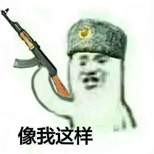 像我这样