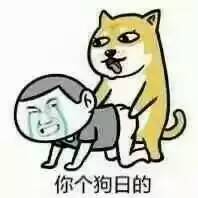 你个狗日的